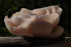 Éveil - fleur de lotus - sculpture de Dominique Rivaux