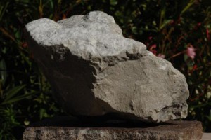Taurillon en pierre d'Antoger