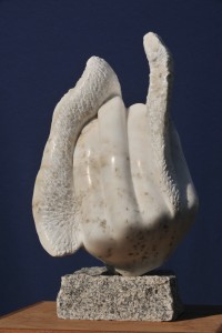 oiseau colombe - symbole de la paix - Dominique Rivaux