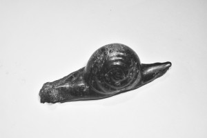 sculpture d'un escargot - Dominique Rivaux, serpentine de Corse